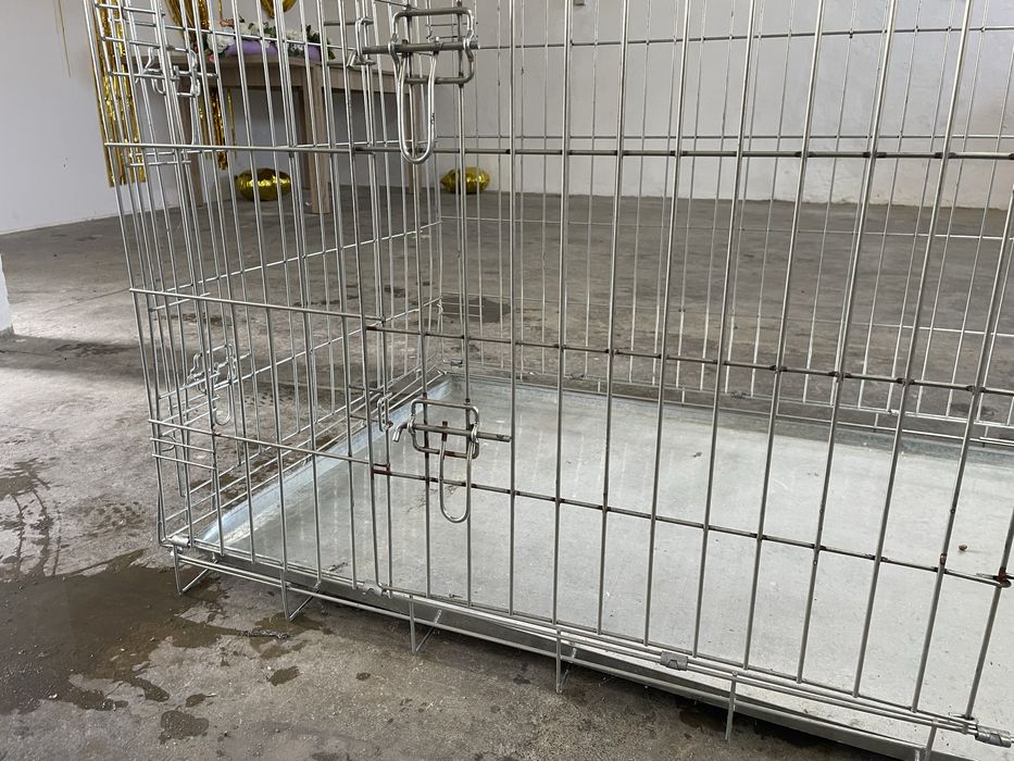 Caixa transportadora de caes