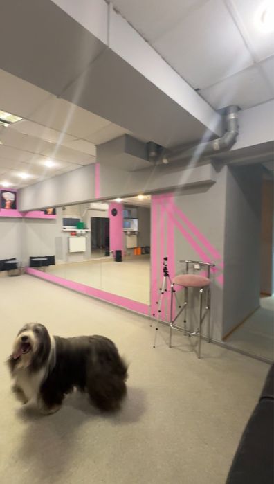 Продажа помещение ремонт 106м, 33200$ без комиссии для покупателя