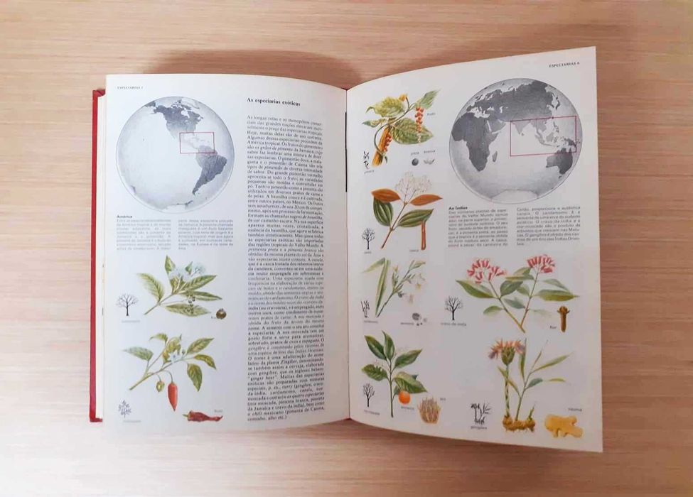 Enciclopédia Combi Visual