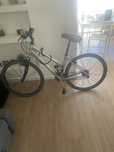 Bicicleta da Graint