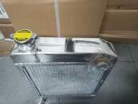 Radiador mini 1000/1100/1275