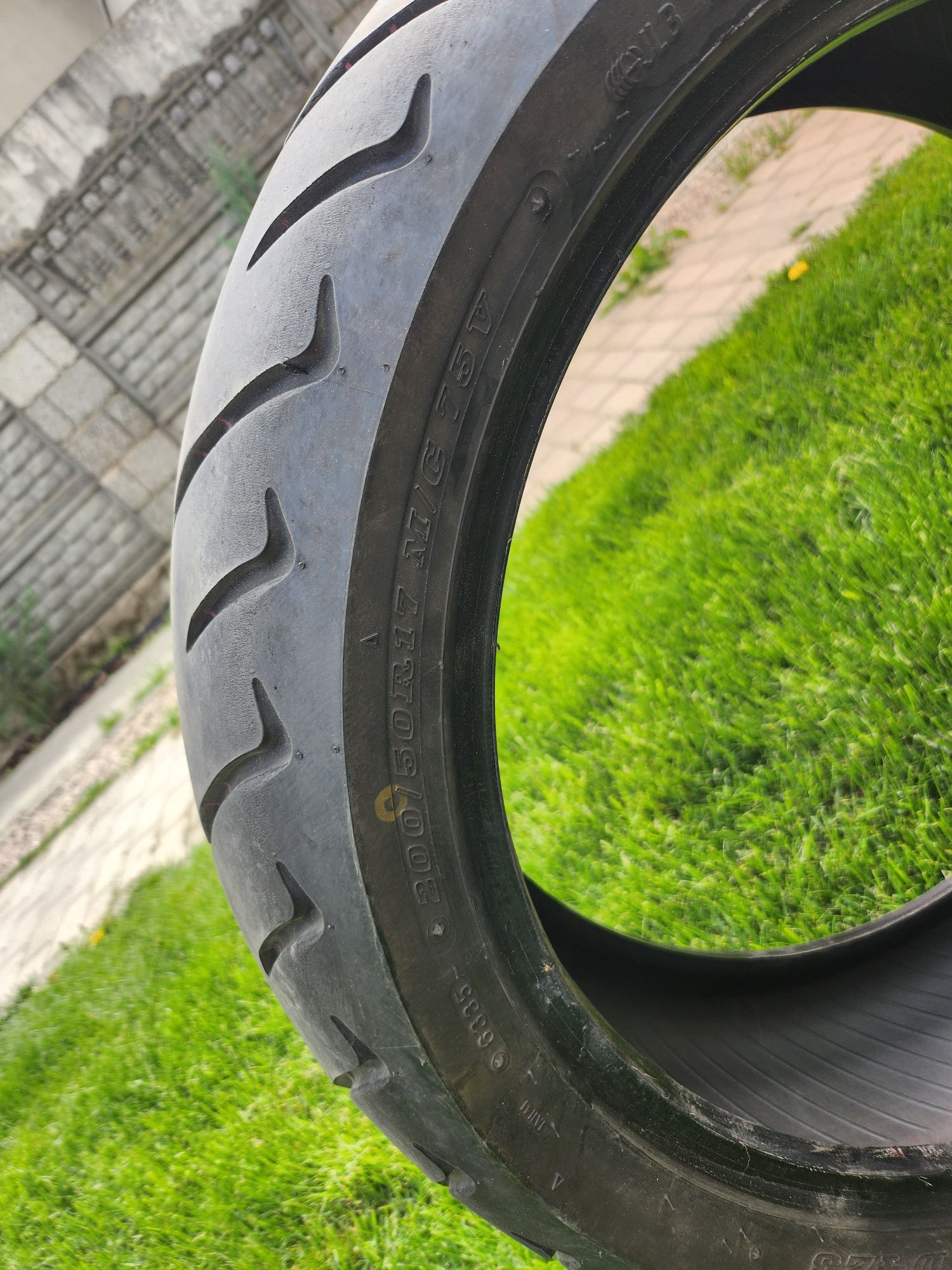 Мотошини Dunlop Sportmax D 423F 130/70r18 та 200/50r17