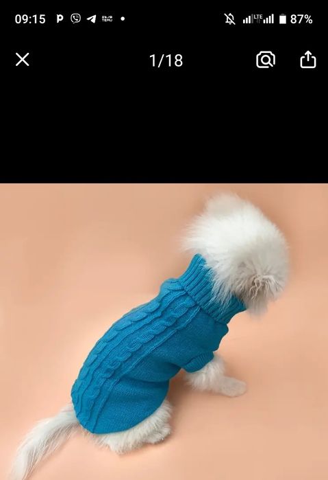 Одежда для мини пород