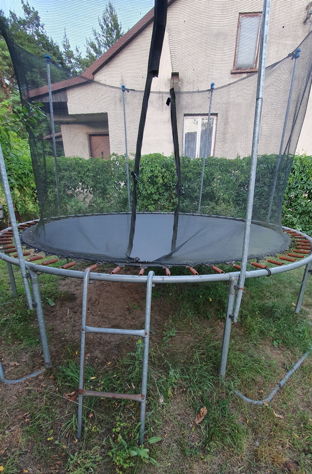 Trampolina 260cm