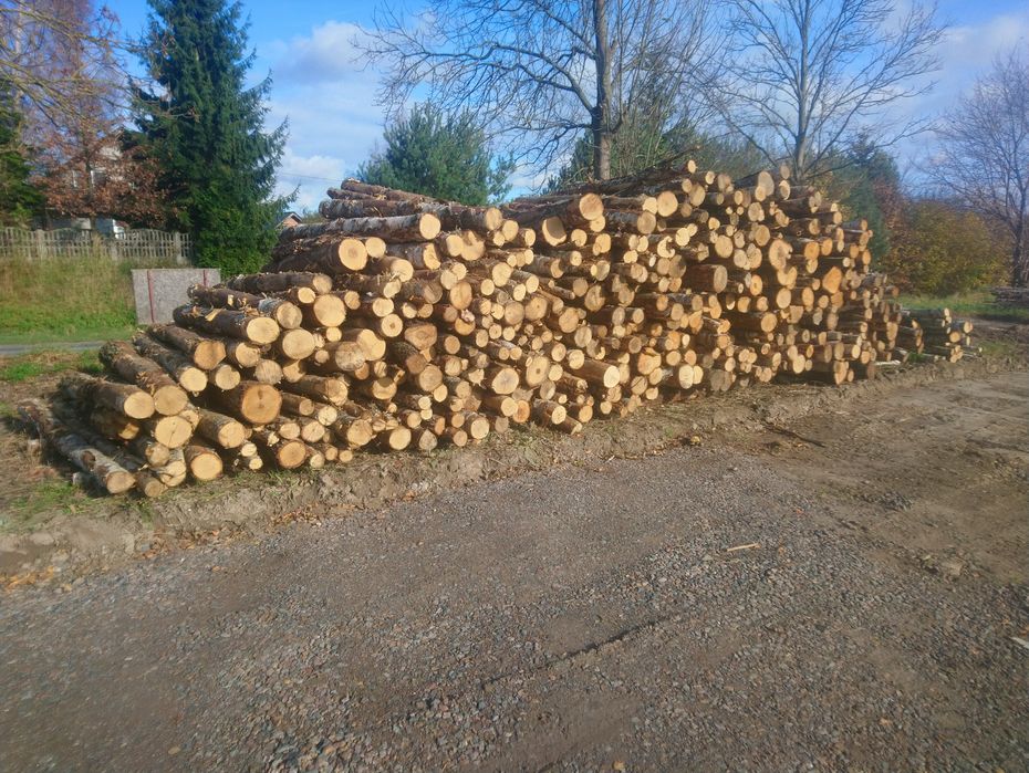 Drewno kominkowe - SOSNA, OSIKA, brzoza, dąb, drzewo opalowe, - m3