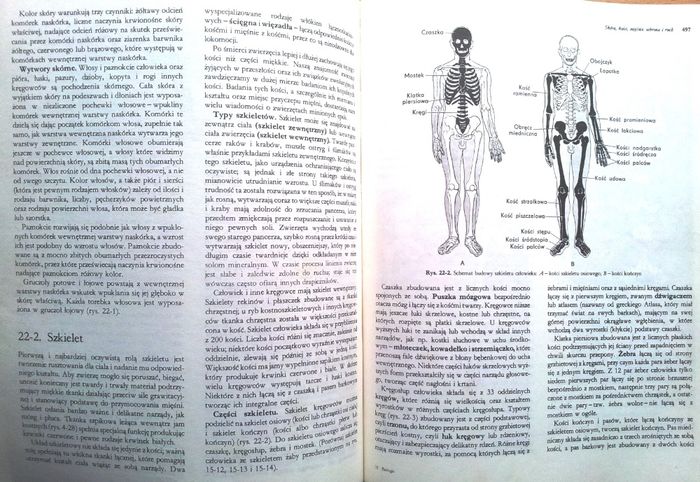 Biologia - Claude A. Villee