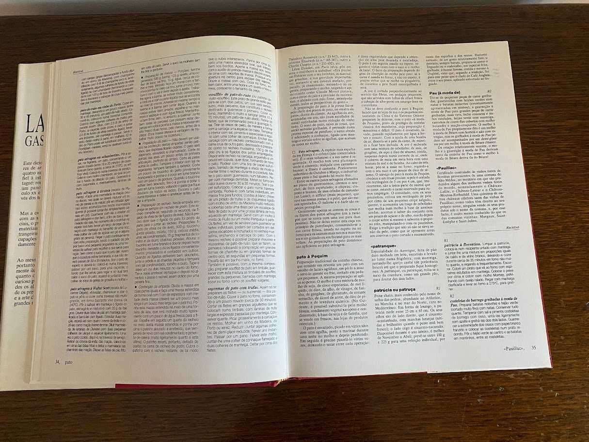 Larousse Gastronómico - volume 3