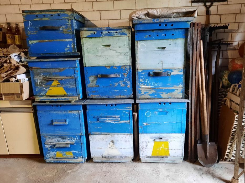 Вулики під рамку Додан