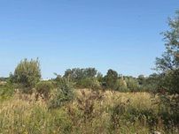 Земельна ділянка (0,2500га) - с. Великі Гаї Тернопільська обл.