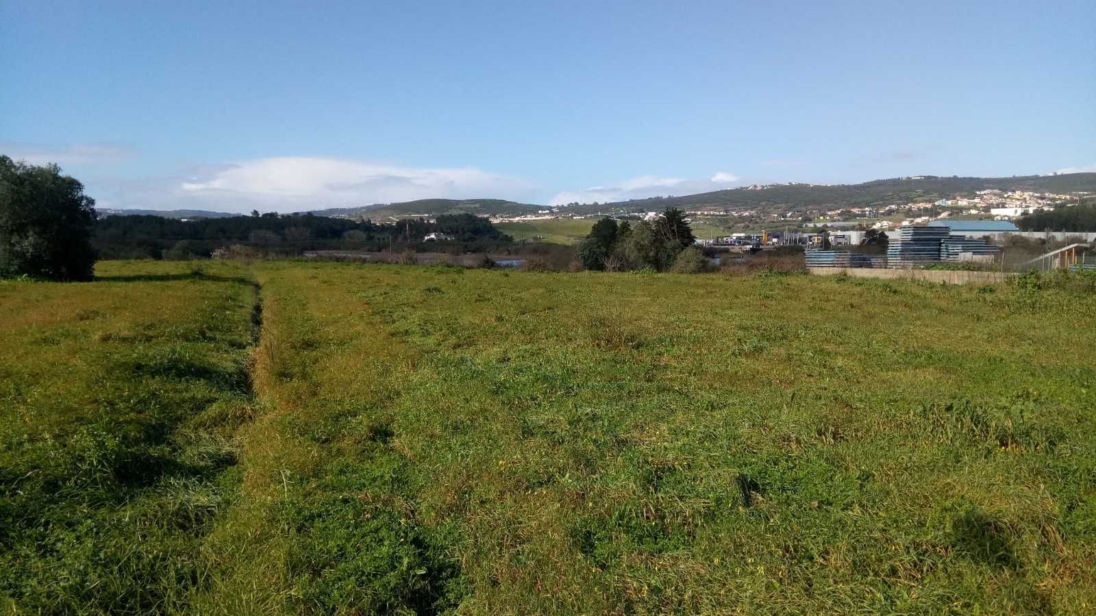 Terreno Urbano + Rústico_Santo Antão do Tojal (3.300m2) com rendimento