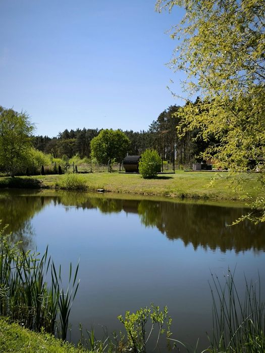 Domek , domki nad jeziorem Serbinówka.