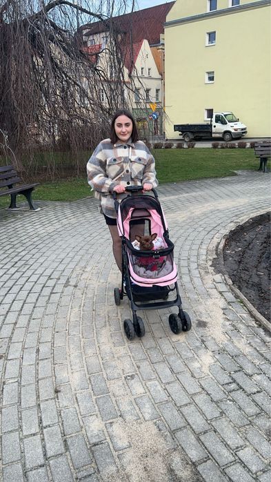 Wózek dla psa różowy