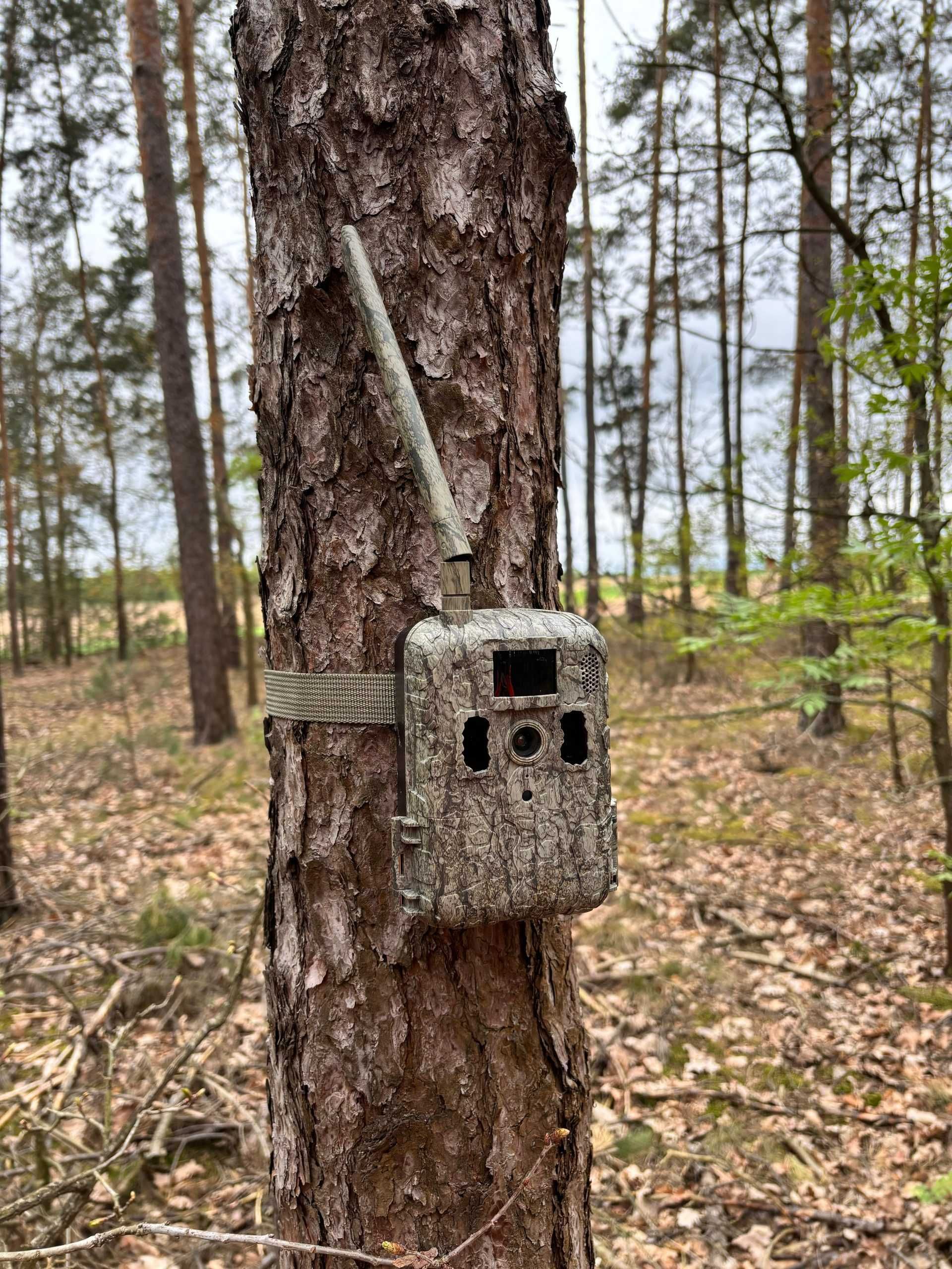 Fotopułapka B4HUNT X7+Panel solarny+24 000mAh aku Li-ion +karta 32 GB