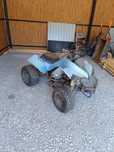 Quad Bombardier 125