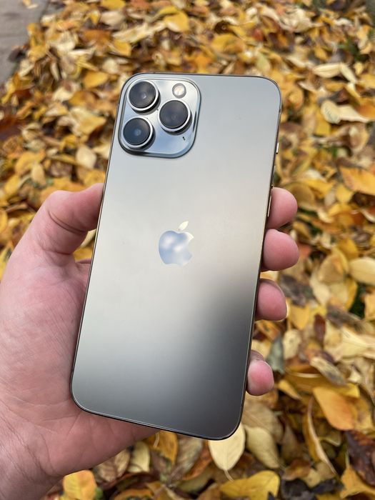 iPhone 13 PRO MAX / 256 Gb / Graphite