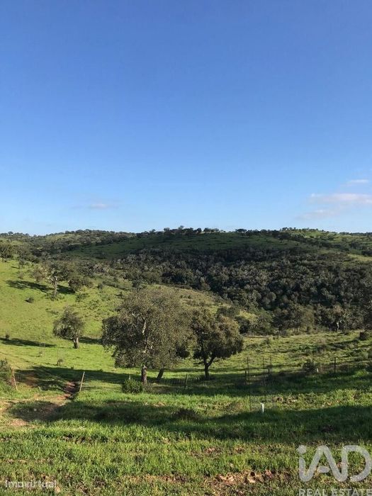 Terreno Agrícola em Safara e Santo Aleixo da Restauração de 8142893,00
