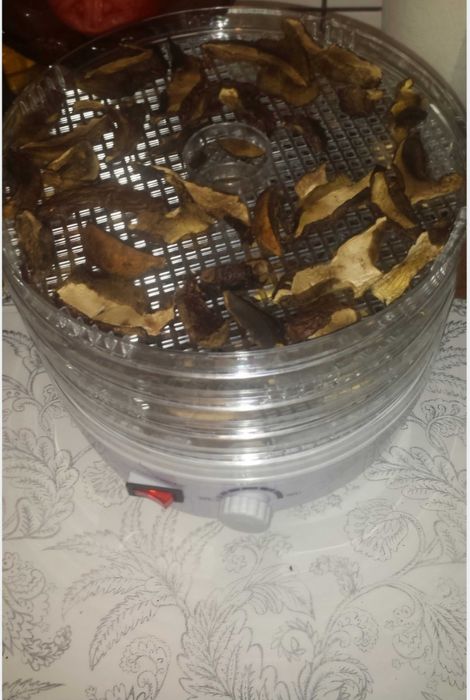 Suszarka do Grzybów Owoców Warzyw
Spożywcza Kuchenna 250W
