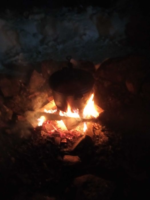 Całoroczny domek do wynajęcia w malowniczej Białowieży