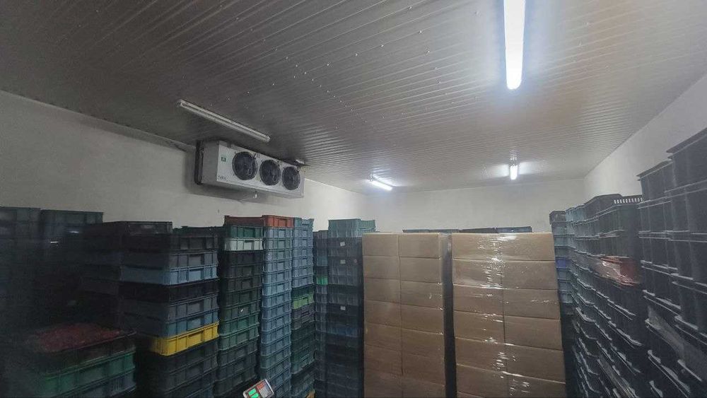 Шокова заморозка полуниці, чорниці, малини (Львів, Трускавець, Стрий)