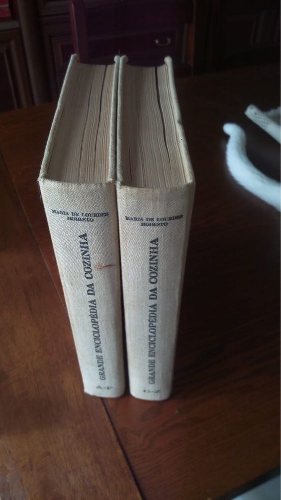 Grande Enciclopedia Maria de Lourdes Modesto 2 volumes