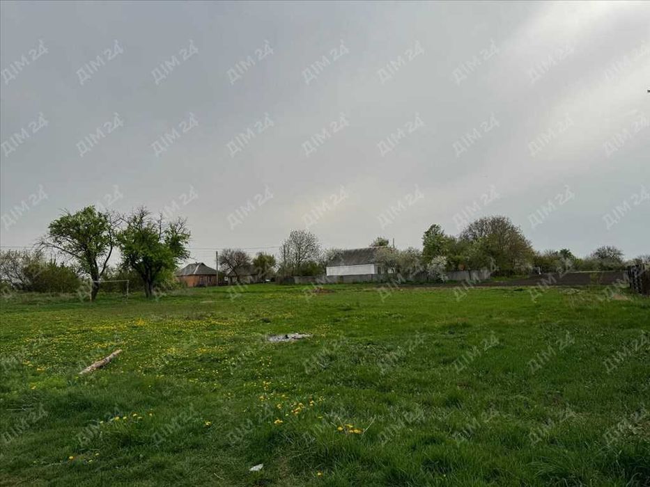 Землі сільськогосподарського призначення в с.Ваці.