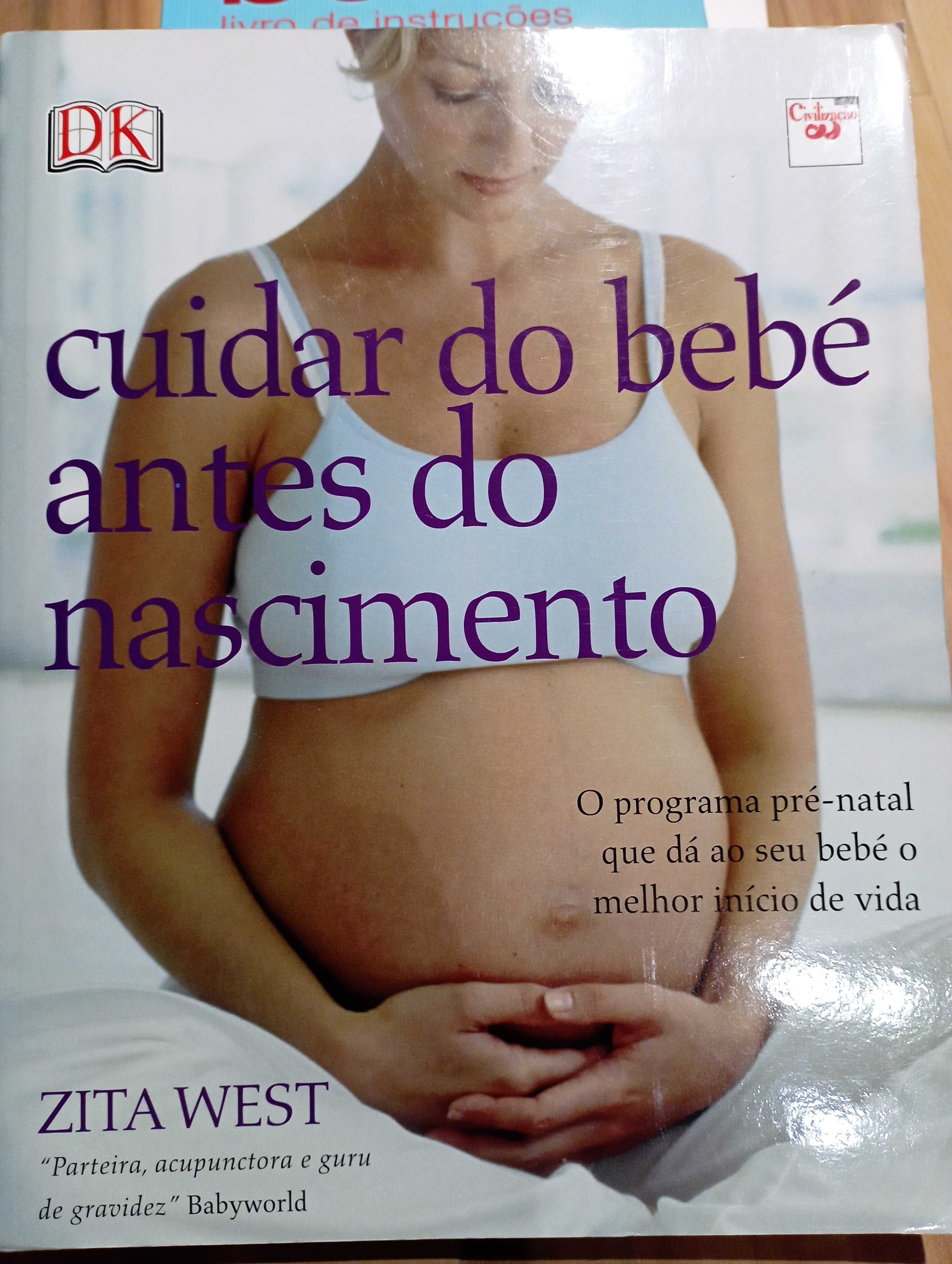 Livros de gravidez - individuais ou o conjunto