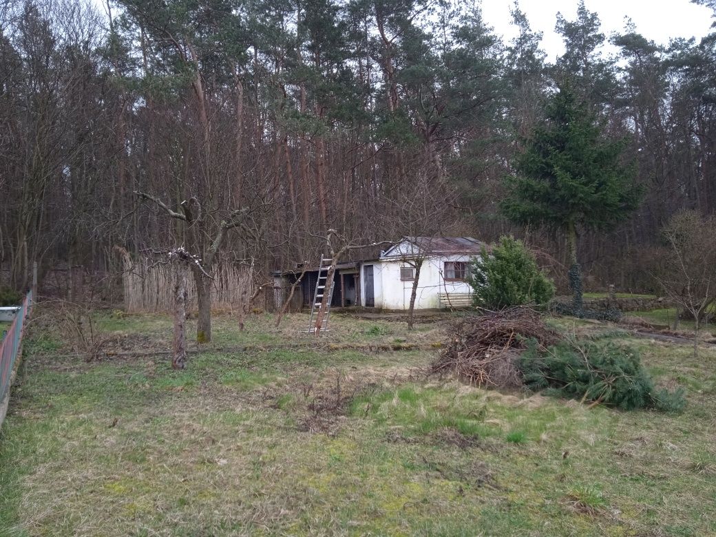 Działka ogrodowa ROD w Działdowie 500 M2 z dala od szosy na wzgórzu