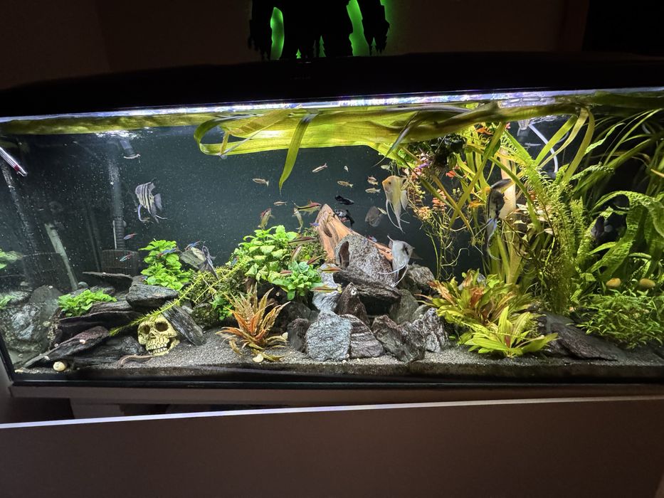 Akwarium 450l pelen zestaw. Nowy filtr hypermax 4500