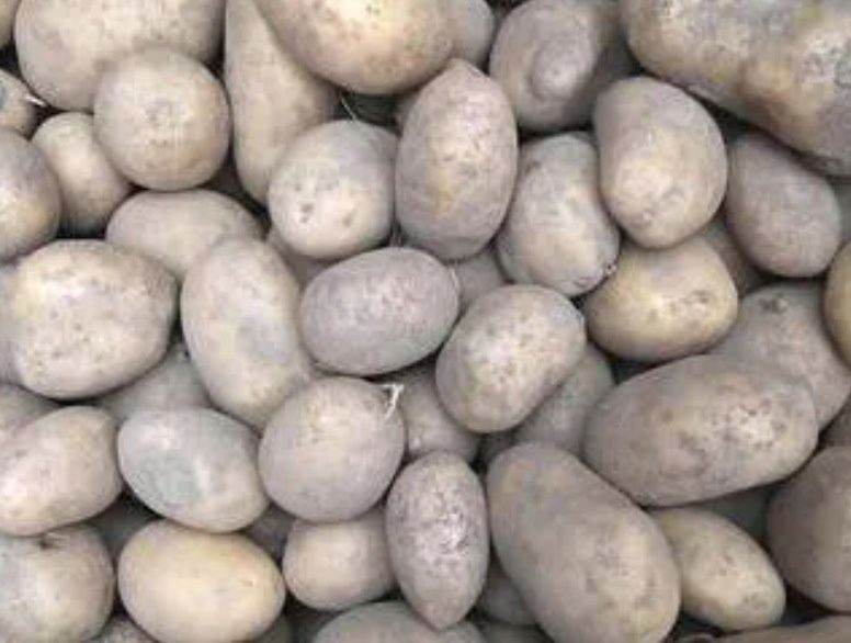Ziemniaki 15kg bez nawozu rodzinne gospodarstwo Rolne Somianka irga