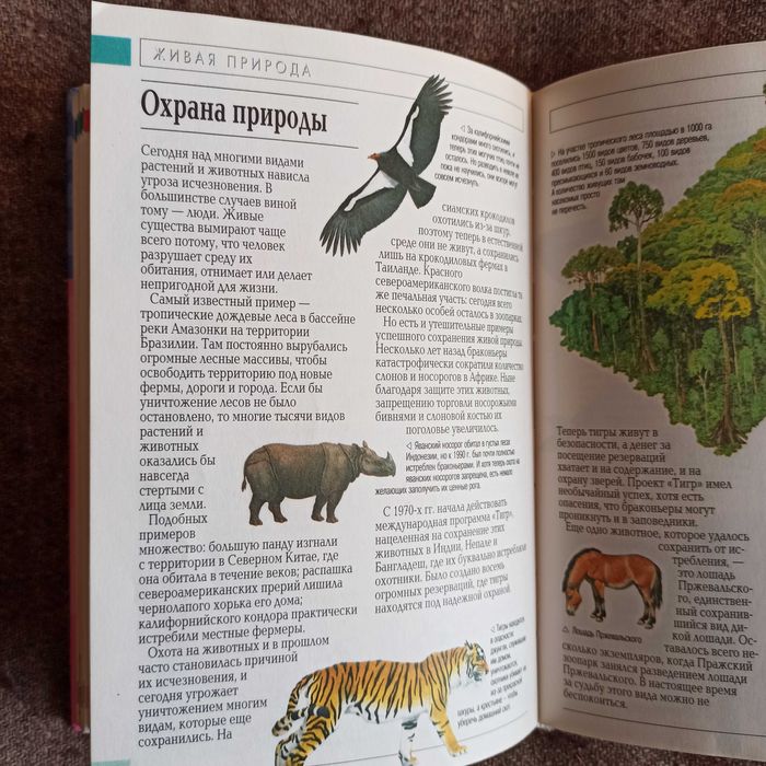 Энциклопедия для девочек обо всём на свете для учебы и отдыха