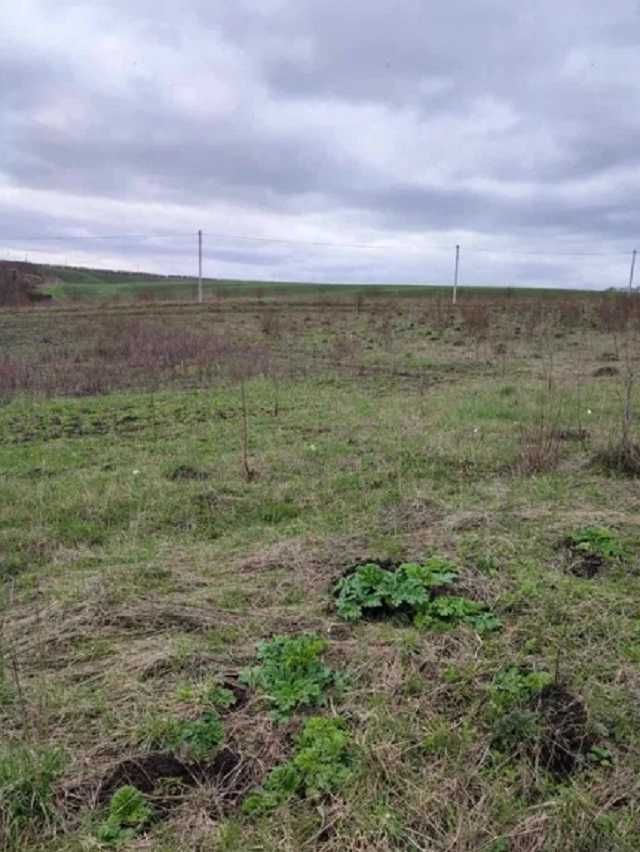 Ділянка під забудову.