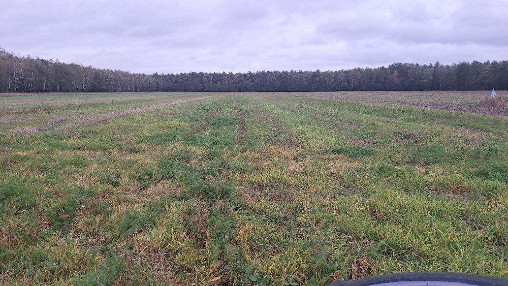 Sprzedam działkę  rolno-budowlaną o pow. 1.87ha