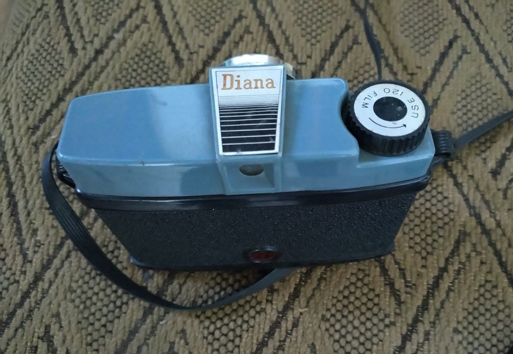 Máquina fotográfica DIANA vintage para lomofotografia