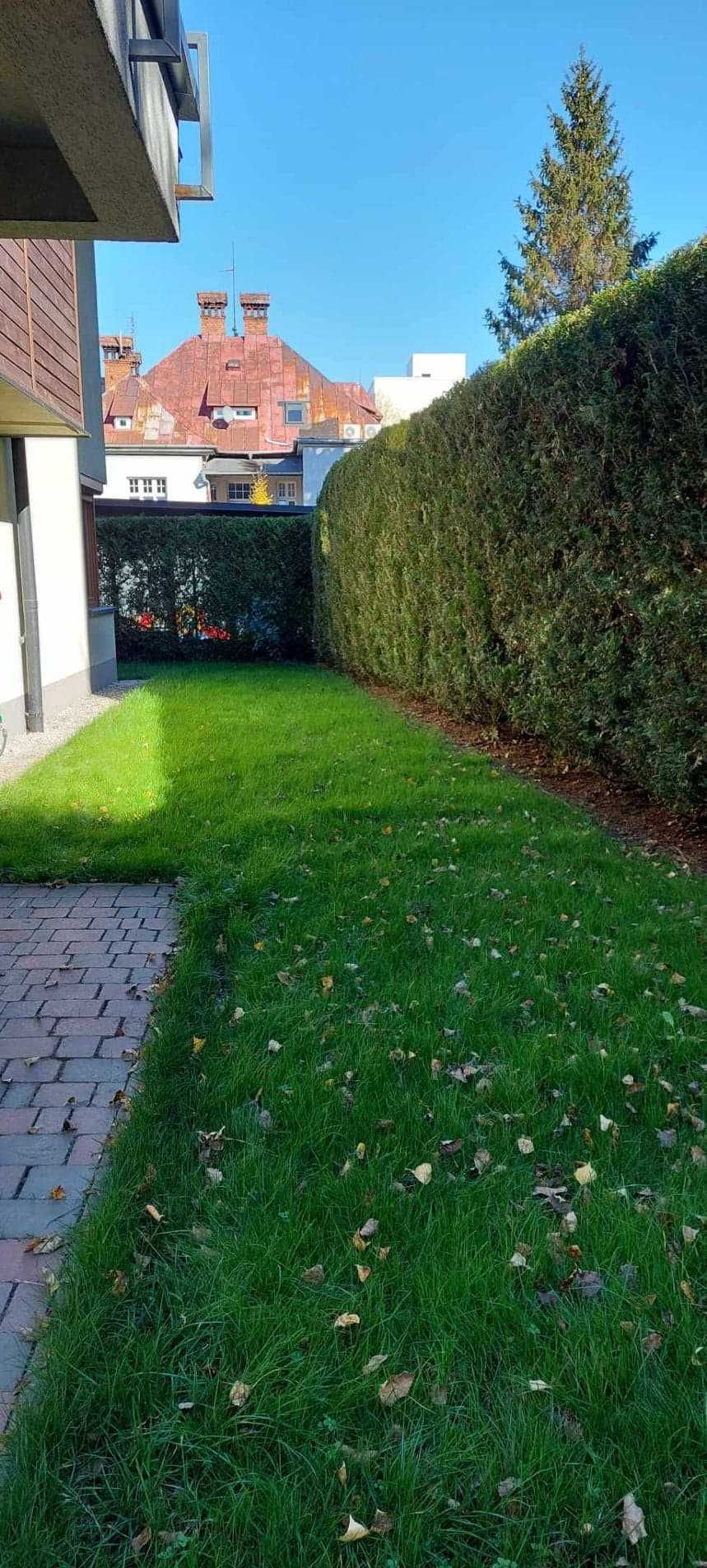 Koszenie, wycinka drzew, przycinanie tuji i żywopłotów,  pielęgnacja