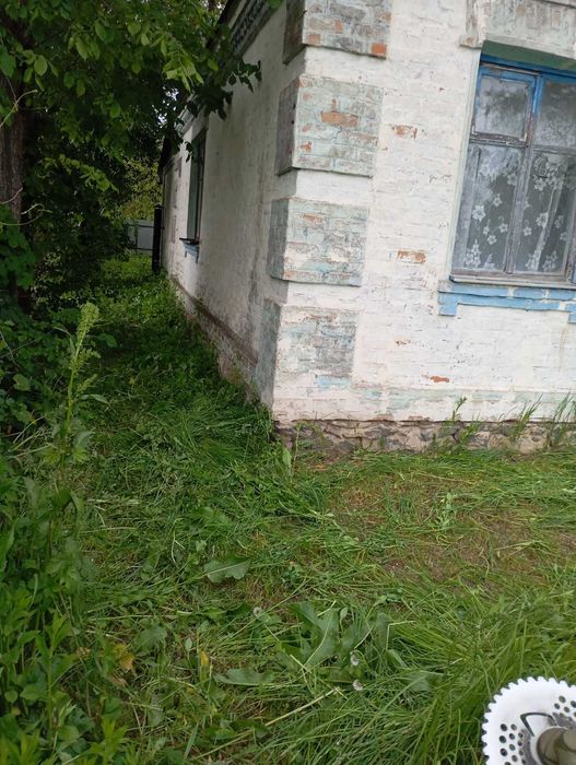 Продаж добротного будинку із земельною ділянкою в с. Шевченкове