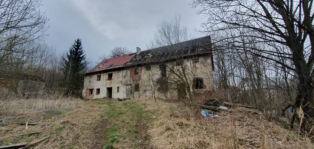 Wycinka drzew, rozbiórka budynków z cegły i niwelacja terenu