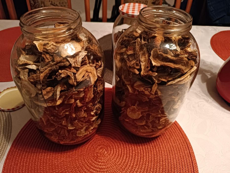 Suszone prawdziwki 1kg 250zł