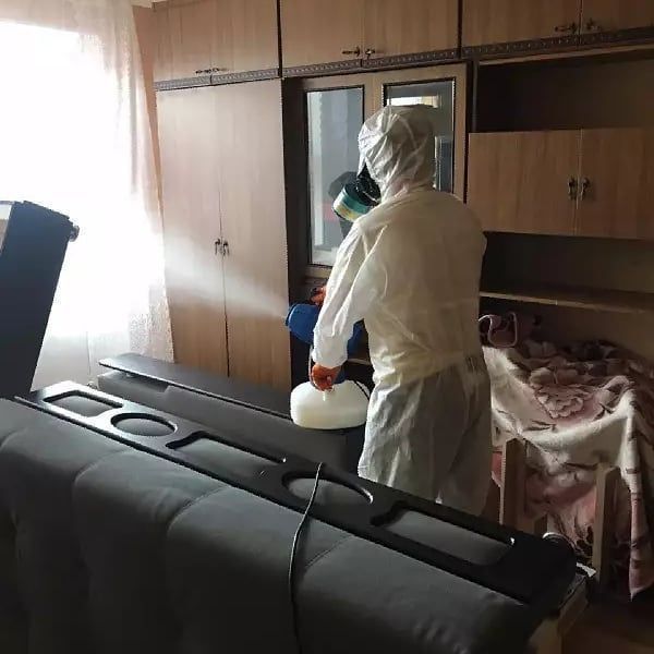 Уничтожение Травля Потравить Уничтожить Тараканов Клопов Блох Знищення