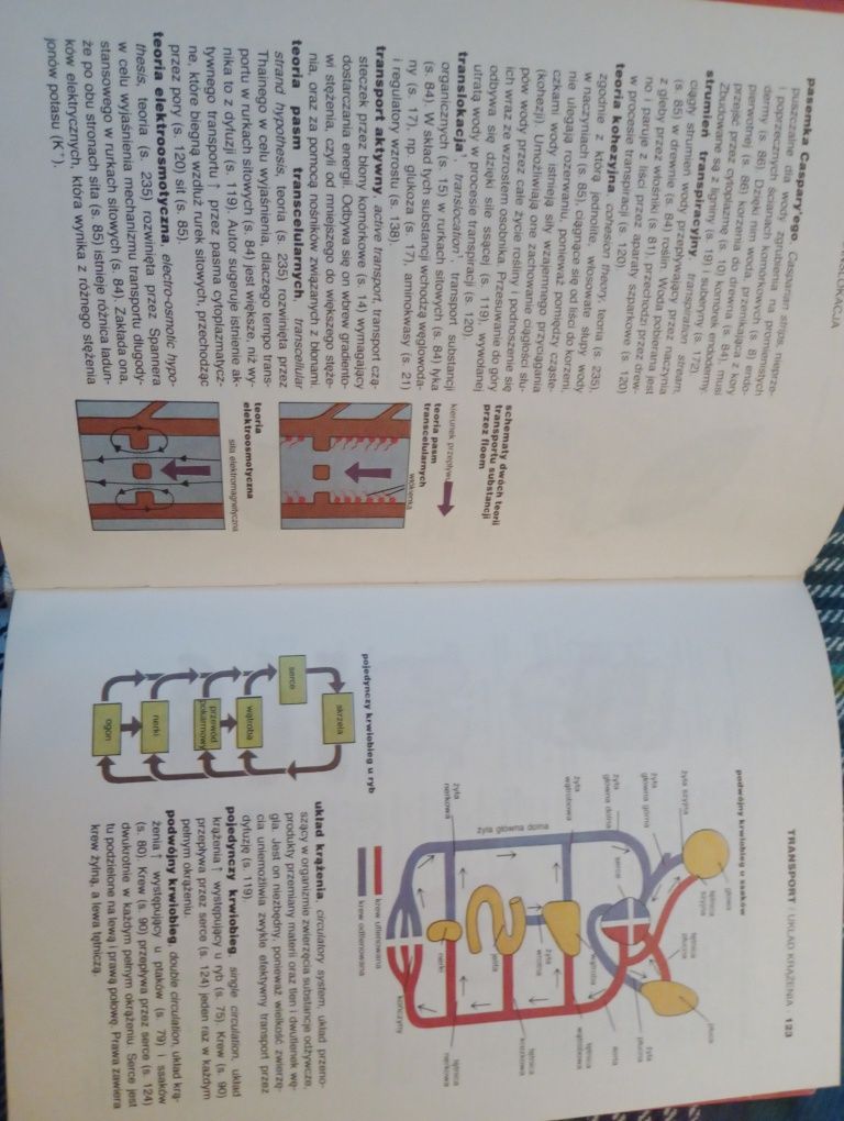 "Ilustrowany słownik biologiczny"