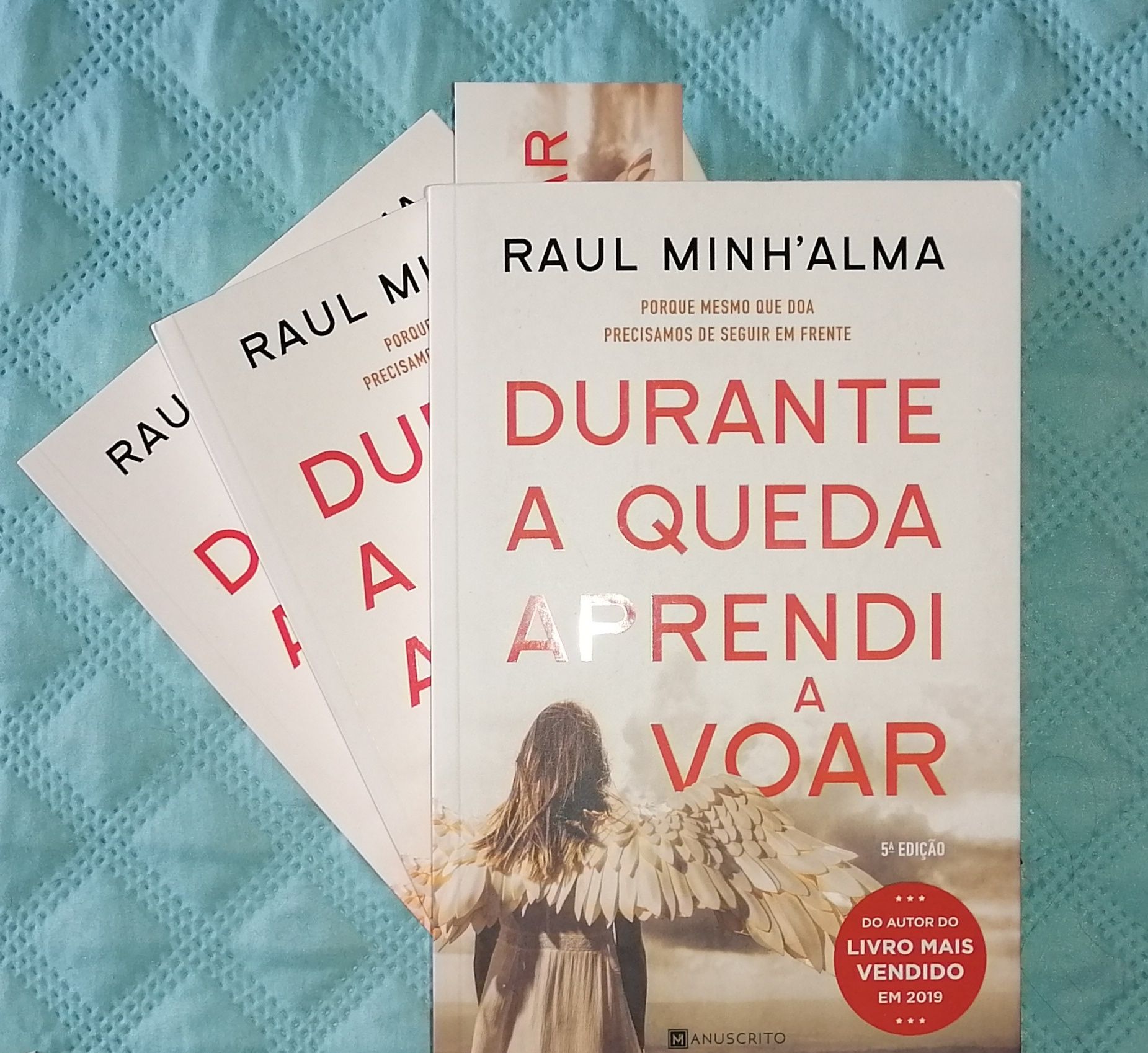 Durante a queda aprendi a voar - Raul minh'alma - NOVOS a estrear