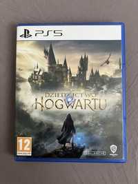 Dziedzictwo Hogwartu PS5