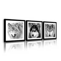 Obraz do Pokoju Sypialni Płótno Canvas Zwierzęta Wilki 3D ZESTAW