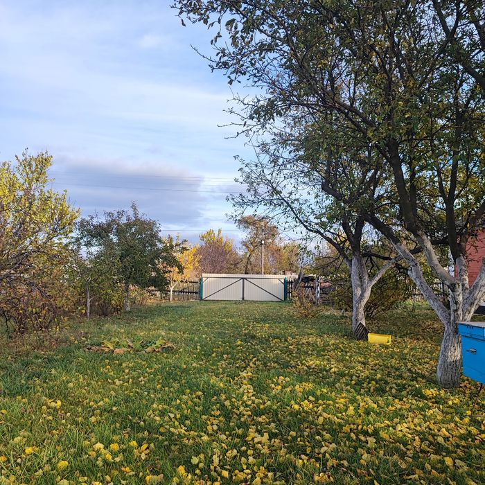 Продам будинок в селі Савинці Білоцерківського району.