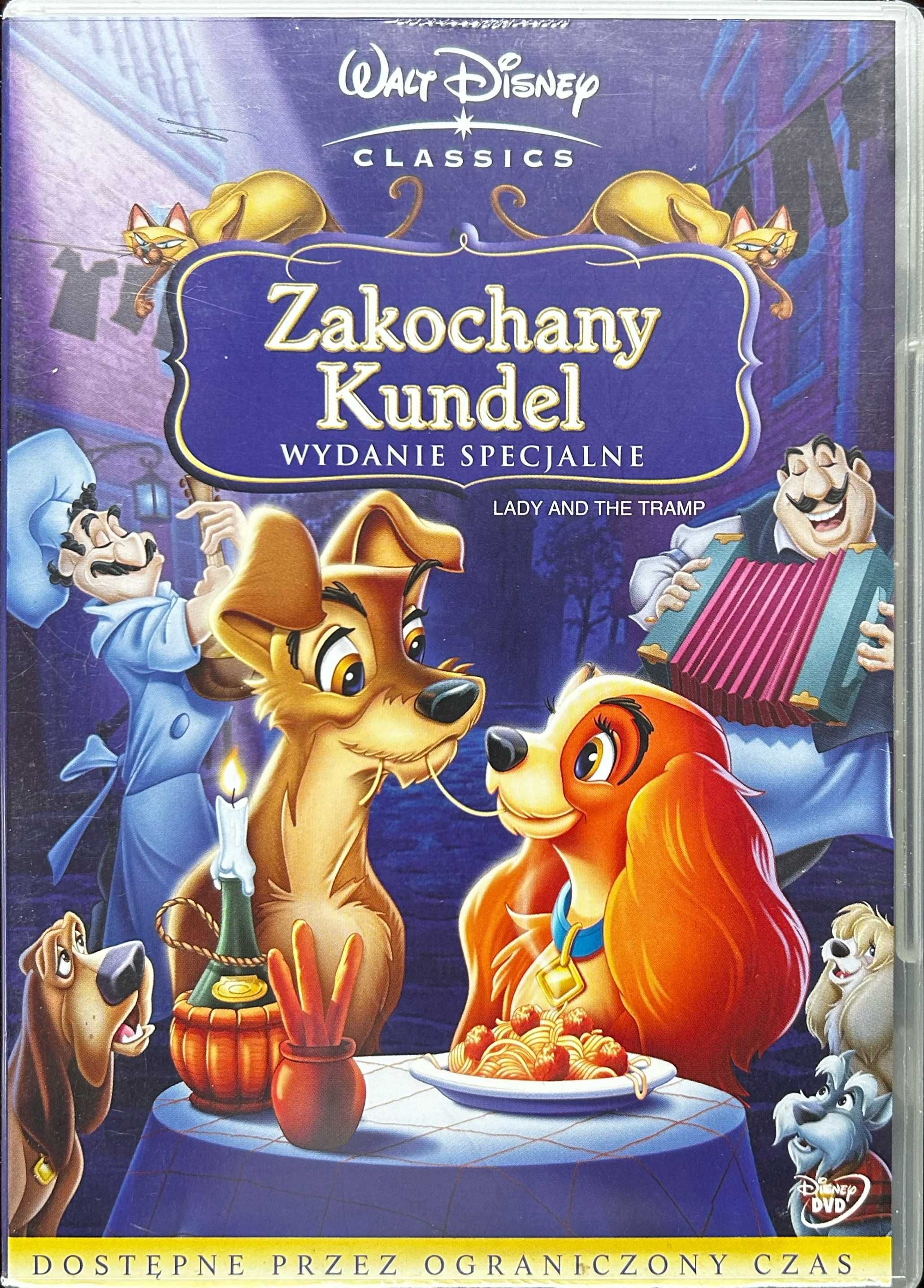 Film DVD Zakochany Kundel WALT DISNEY