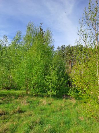 Działka budowlana na sprzedaż SŁONE