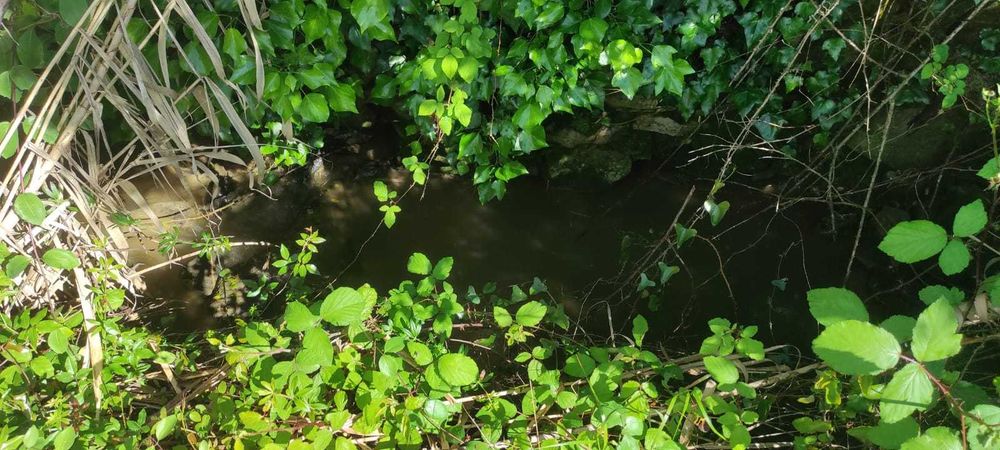 Terreno rústico em Cardosas - Arruda dos Vinhos