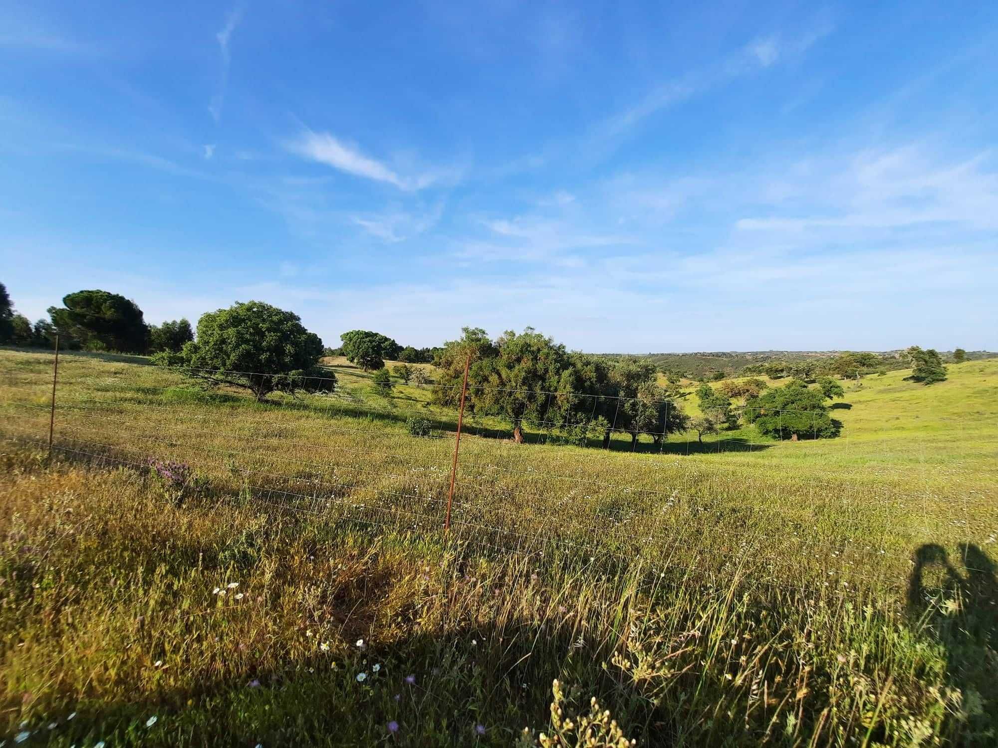 Herdade com 57,1750ha de terreno.