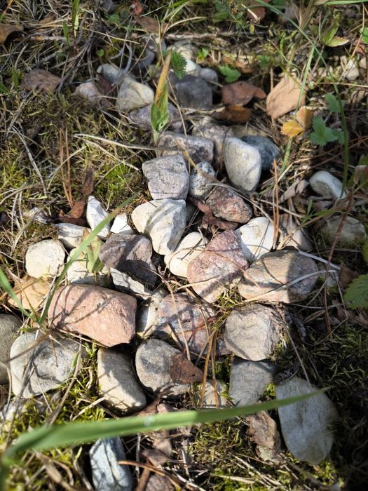 Oddam kamień polny za wywiezienie. Widna Góra / Gowidlino