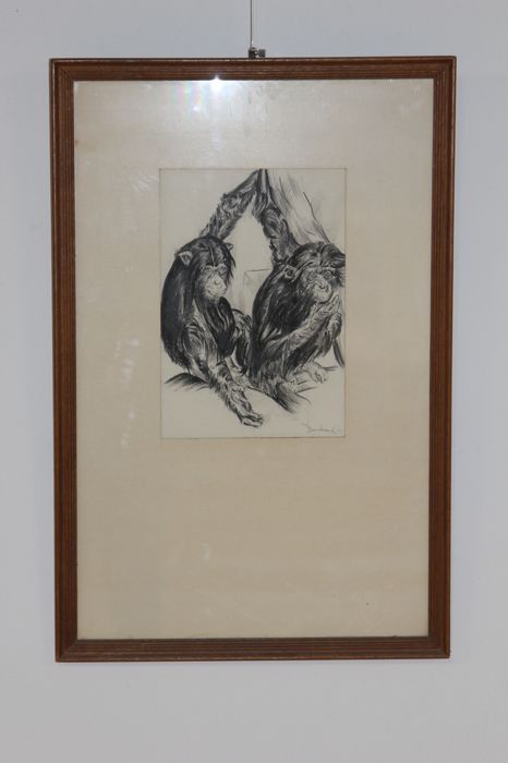 Desenho em carvão vegetal do artista Holandês Van Laere - 1943