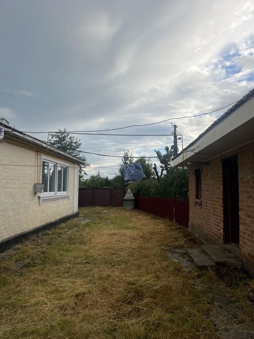 Продам будинок в селі Ольшаниця Білоцерківського району.